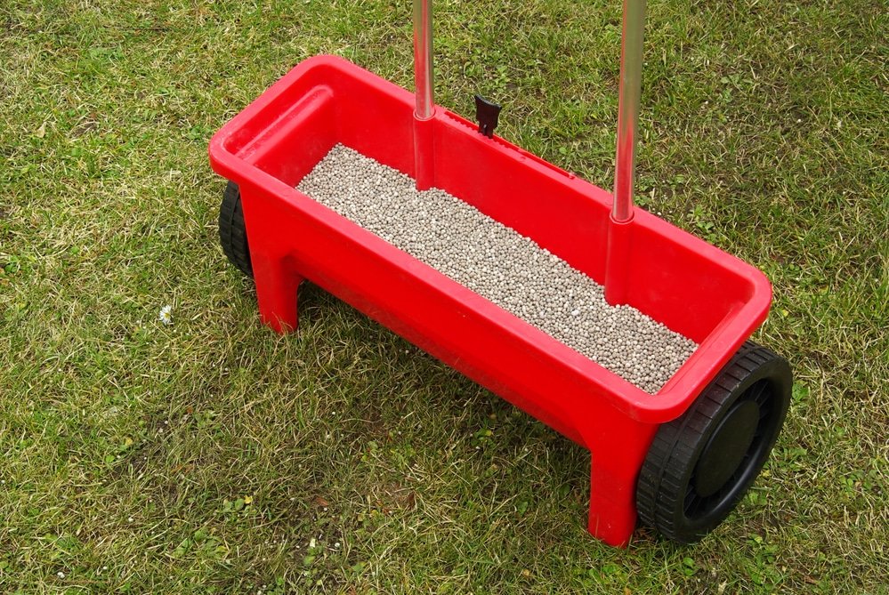 best lawn feeds