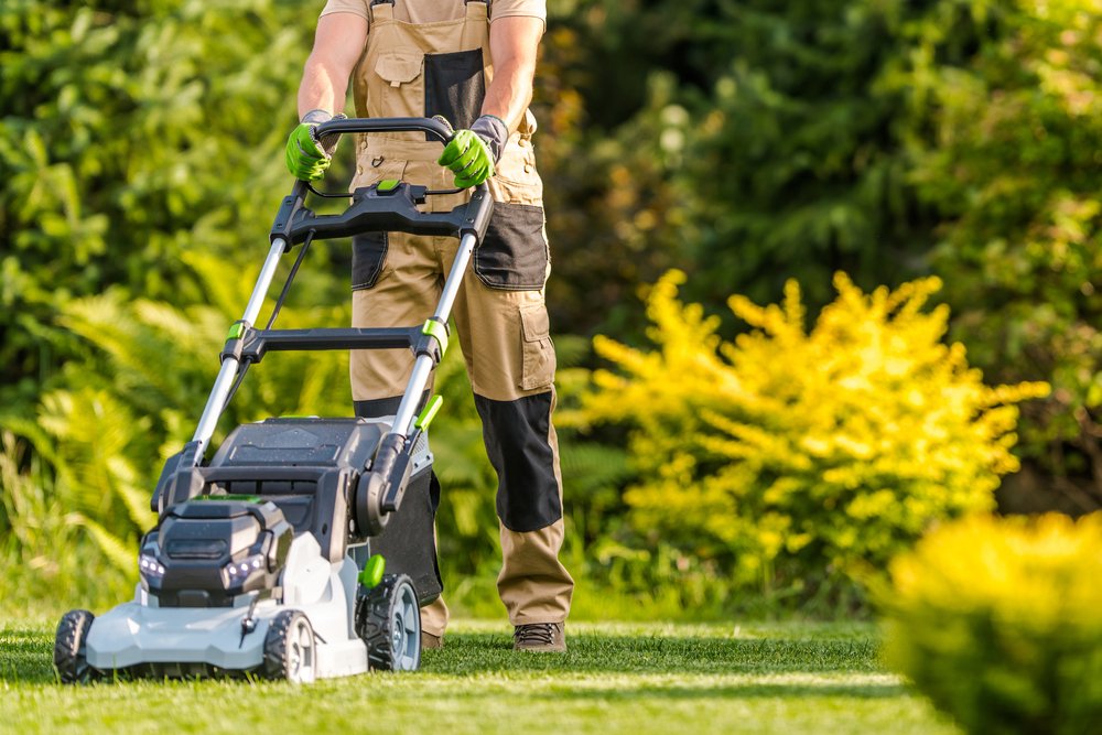 A gardener using a cordless mowing machine in a backyard garden.