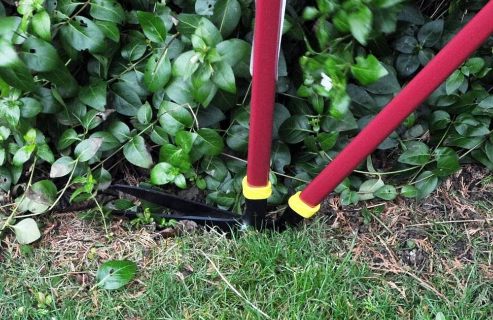 Best Edging Shears