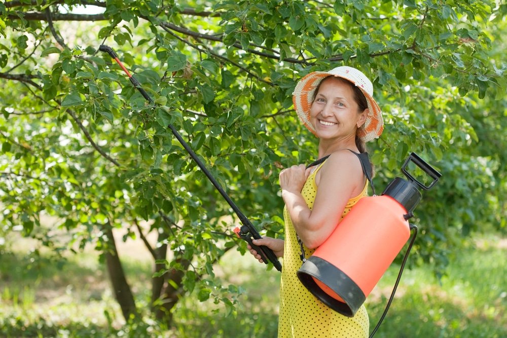 Best Knapsack Sprayers