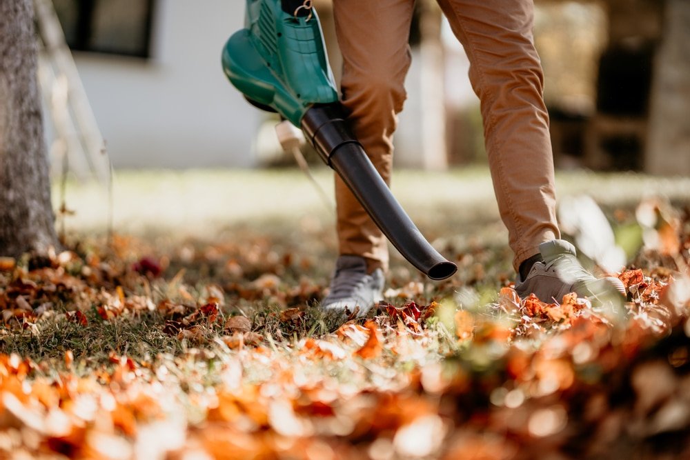 Best Leaf Blowers