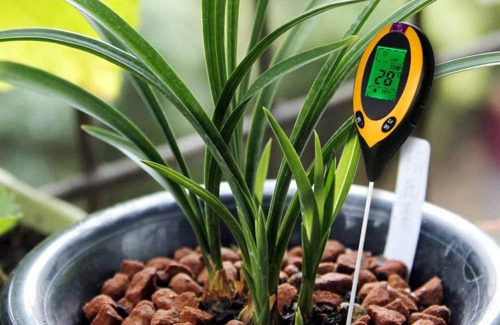 Best Soil Testing Kits