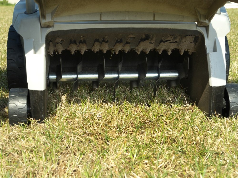 Closeup of a garden equipment's back showing scarifying mechanism