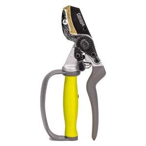 Davaon Pro Carbon Steel