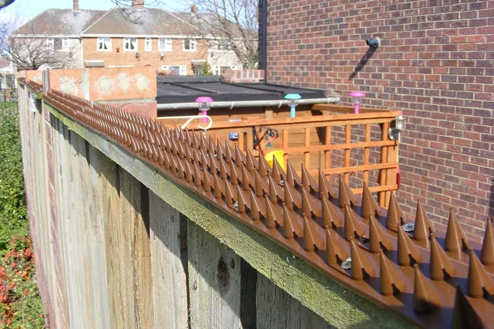 best cat deterrents
