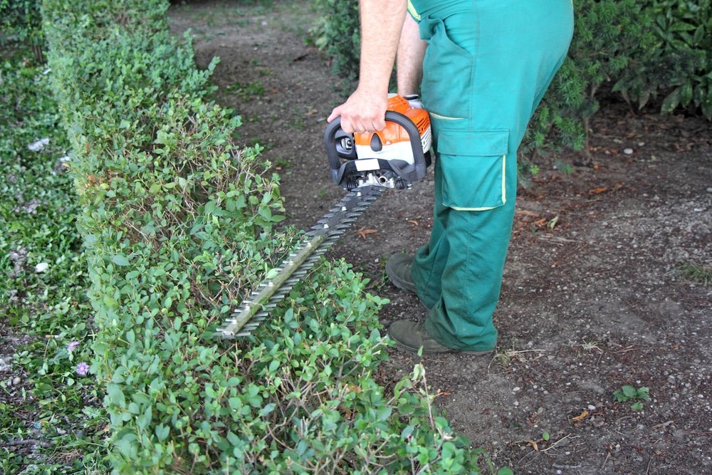 best cordless hedge trimmers