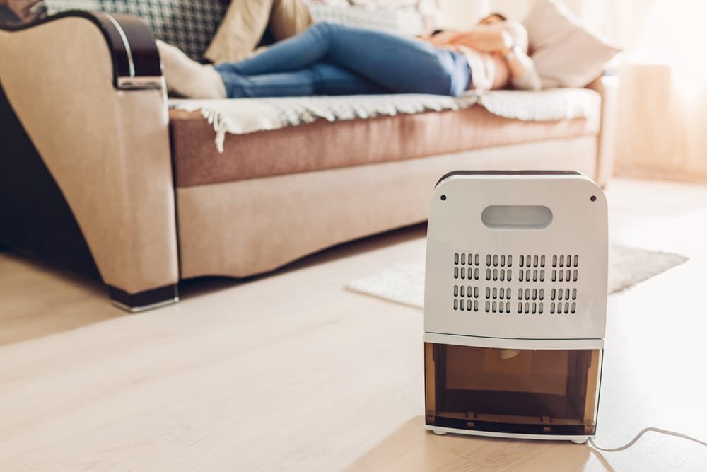 best dehumidifiers