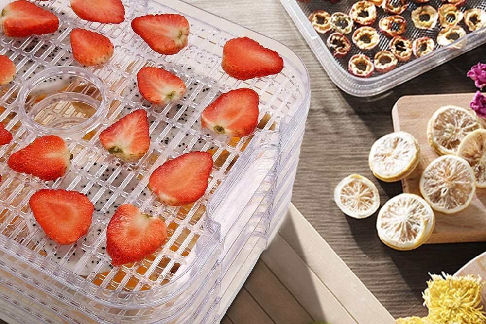 best food dehydrators