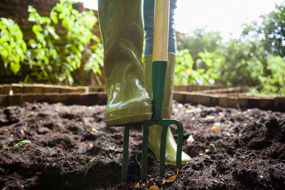 best garden forks