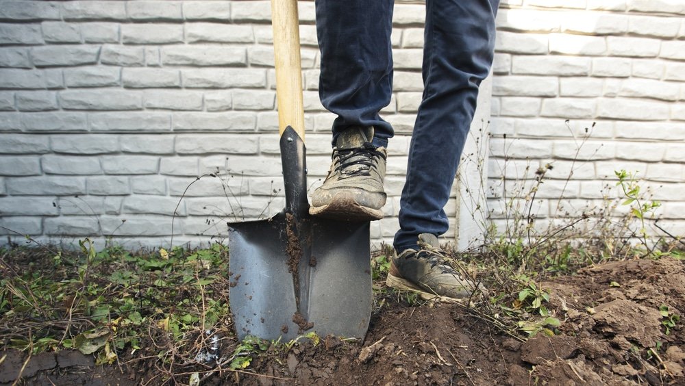 best garden spades