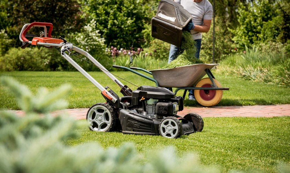 best lawn mowers