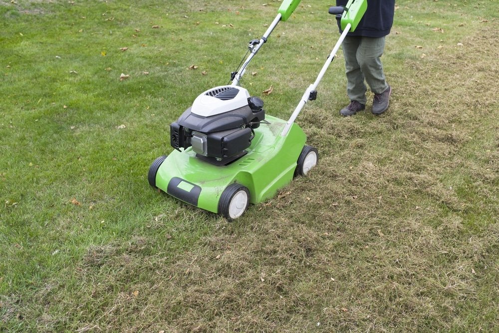 best lawn scarifiers