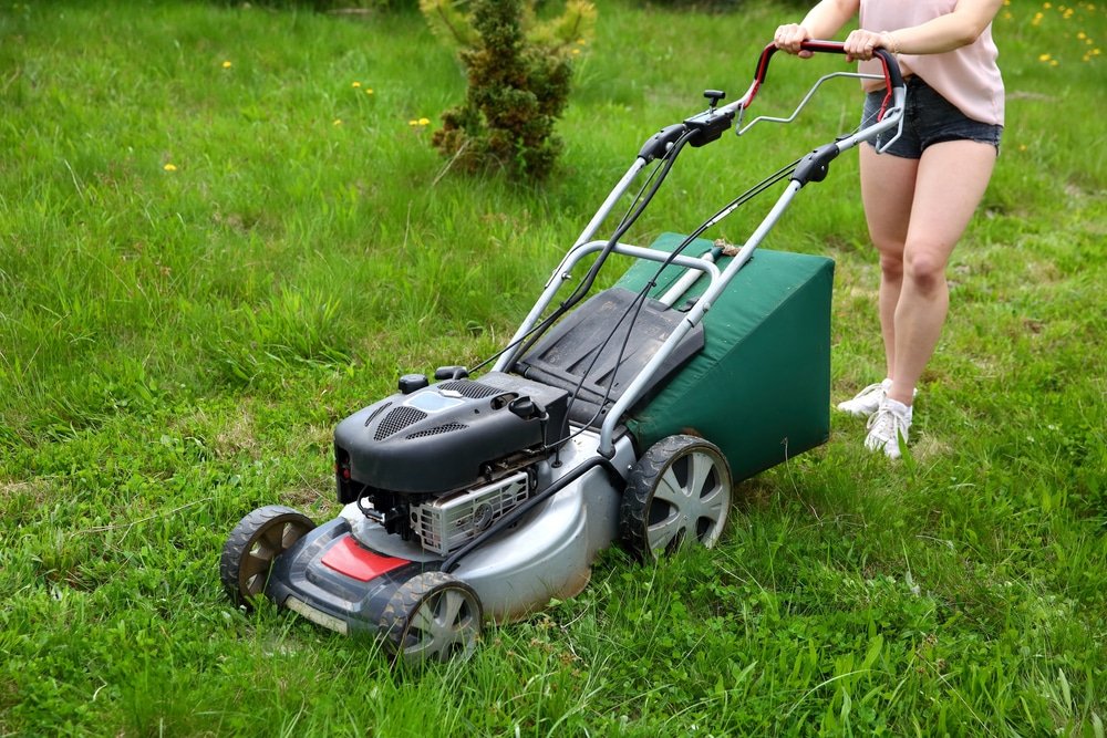 best petrol lawn mowers