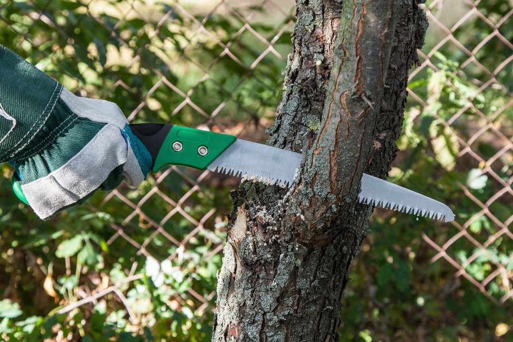 best pruning saws