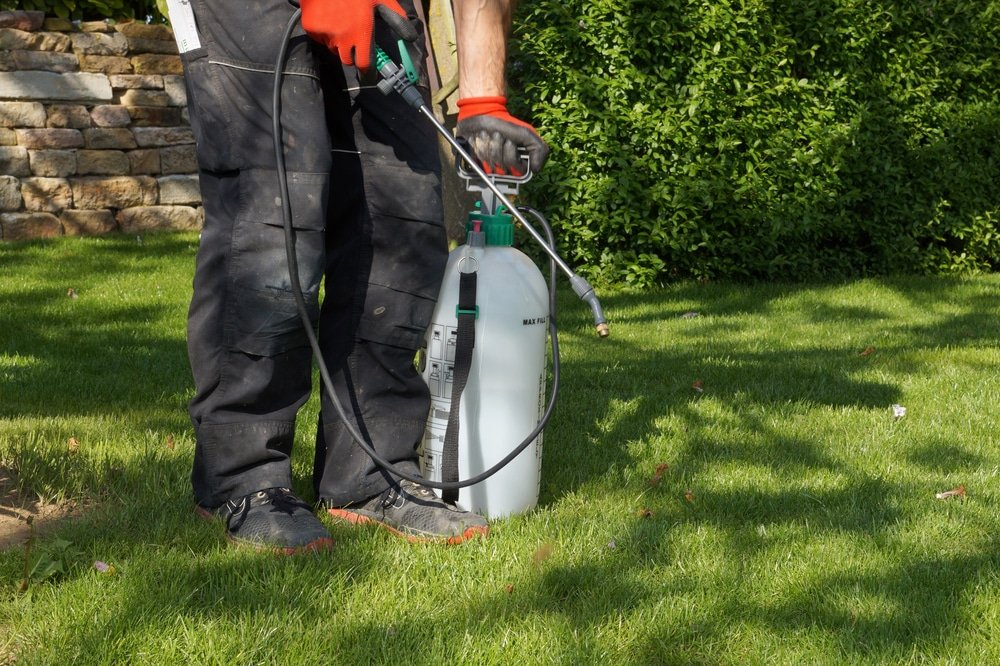 best weed killers