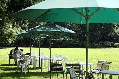 two men taking shelter in the park