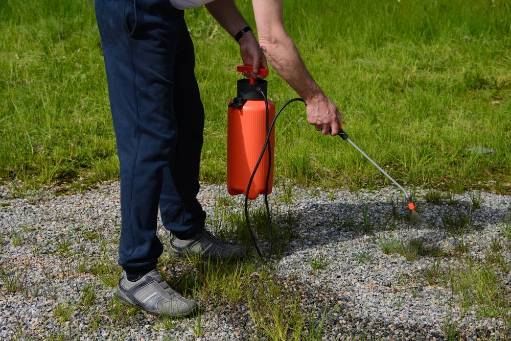 How to Make Weed Killer