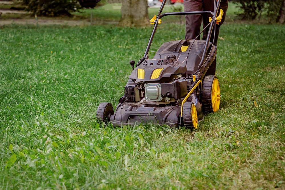 How to Use a Lawn Mower