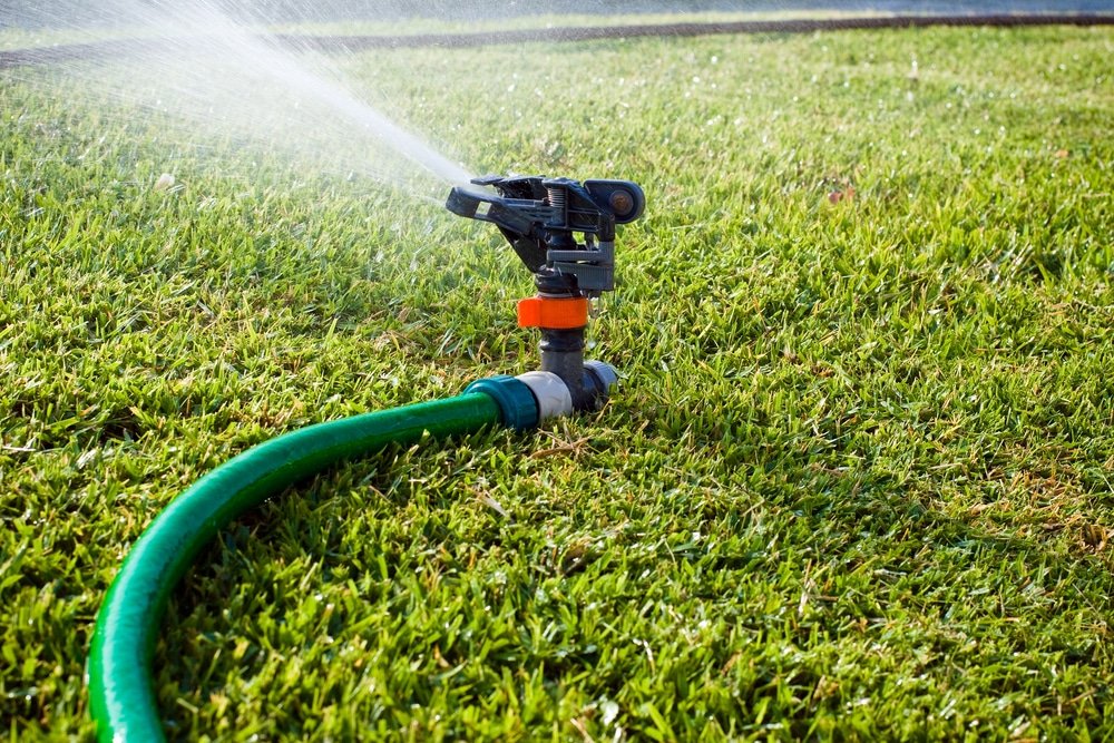 how often to water grass seed