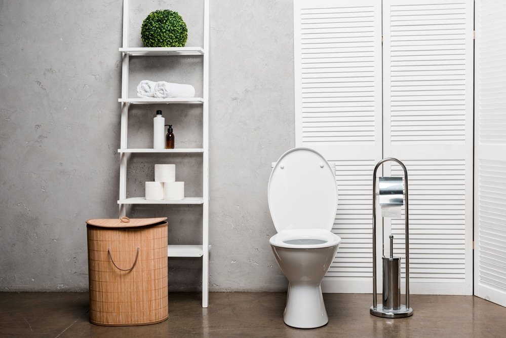 what do you put in a toilet brush holder