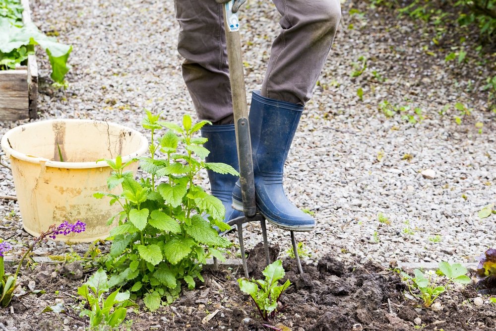what is a garden hand fork used for