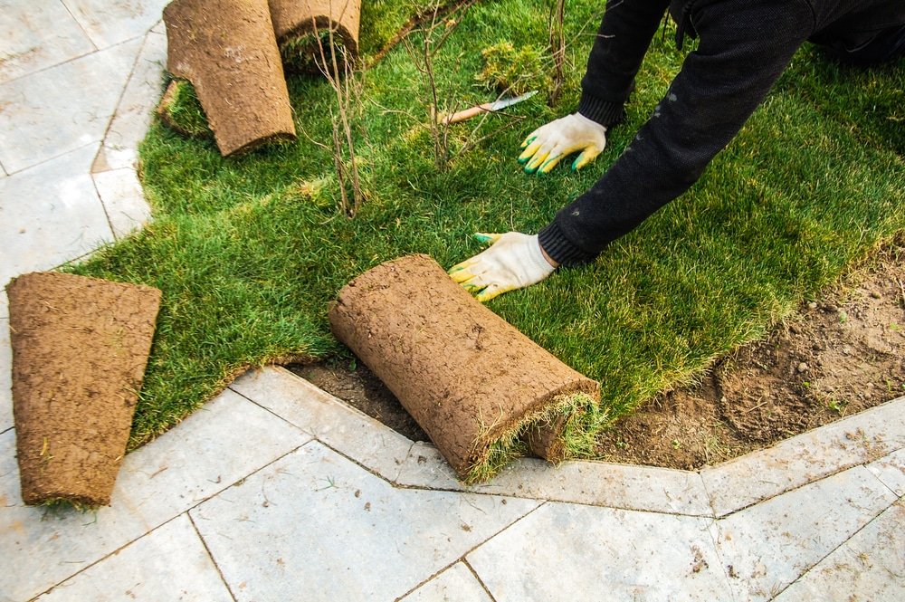 How to lay artificial grass