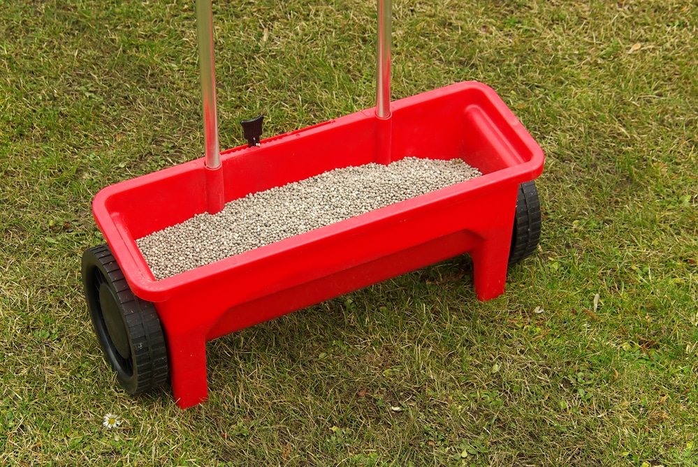 how to feed a lawn
