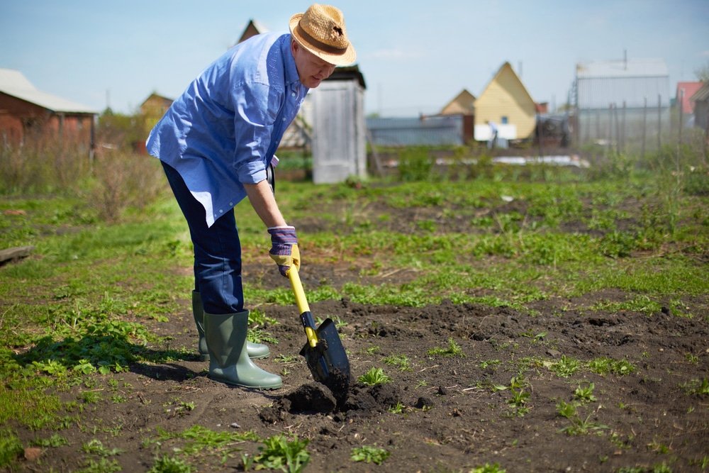 how to sharpen a garden spade