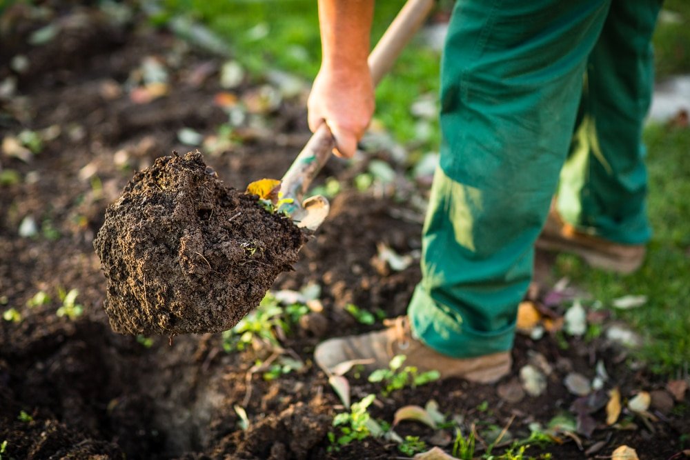 how to use a garden spade