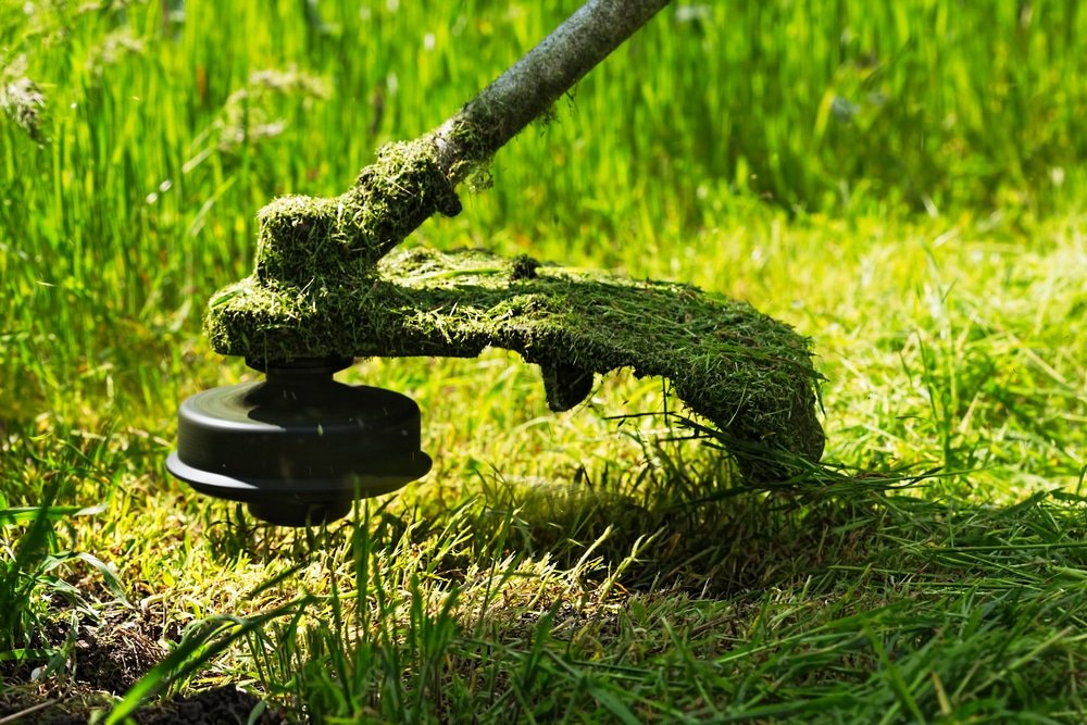 how to use a strimmer