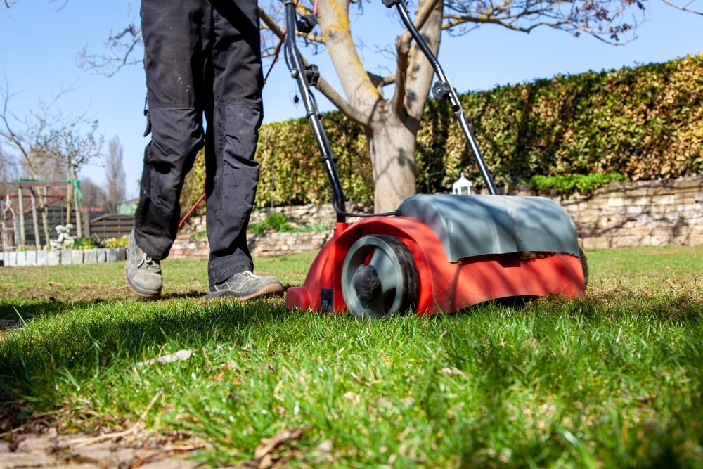 what is a lawn scarifier