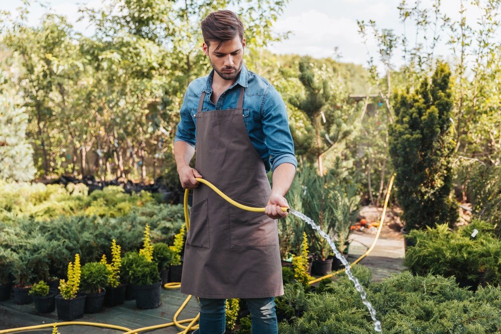 when to water plants