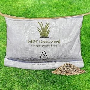 GBW 1kg Premium Quality