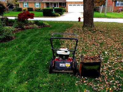 a-garden-that-needs-some-maintenance
