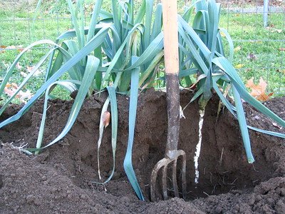 a-lawn-that-is-currently-dug