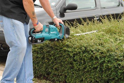 a-man-working-on-his-garden-to-keep-them-looking-tidy